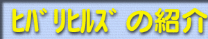 qoqY̏Љ
